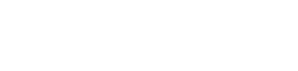 Alpha Net Corp USA