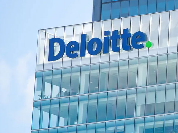 Alpha Net at Deloitte